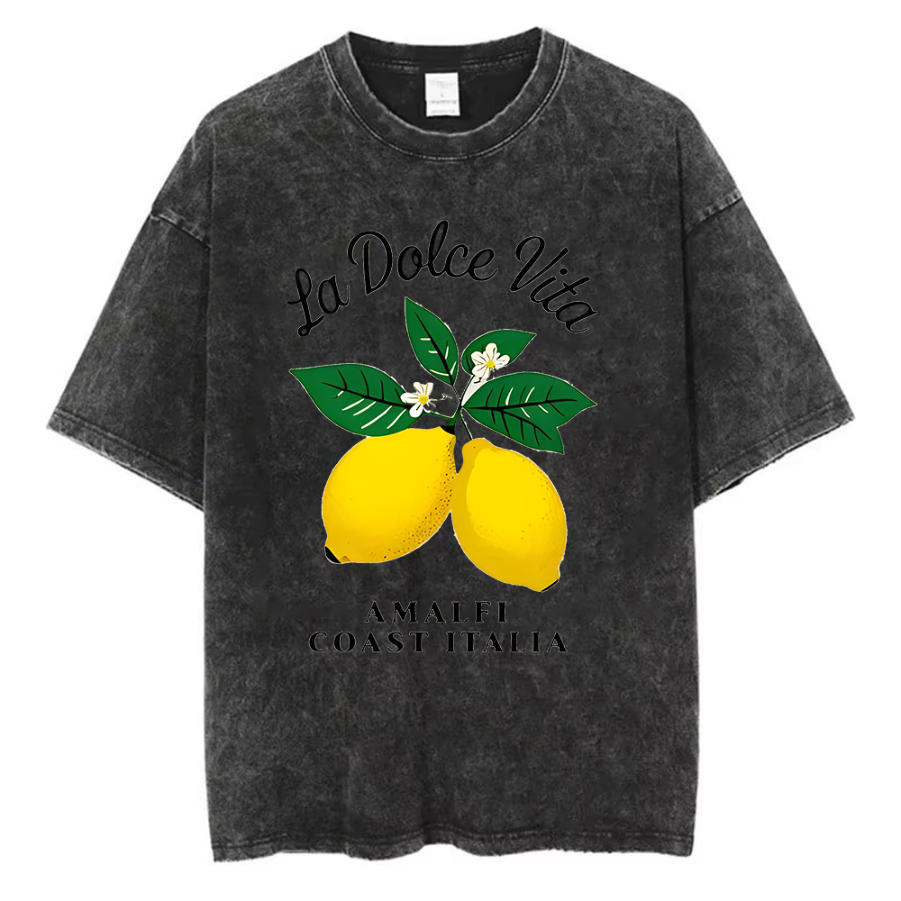 T-shirt vintage en coton délav - Acid Wash Vintage Graphic T Shirt avis et prix